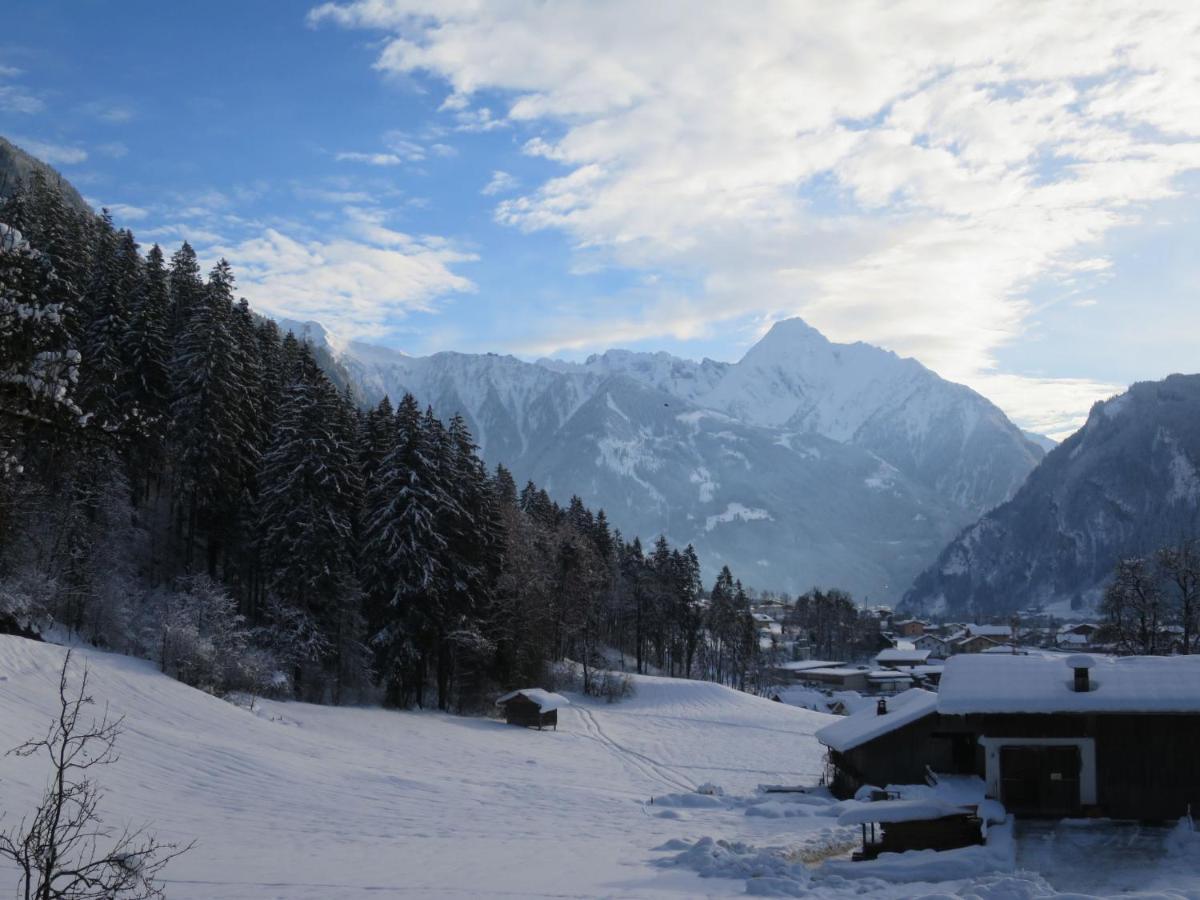 Apartment Hanser By Interhome Ramsau im Zillertal Luaran gambar